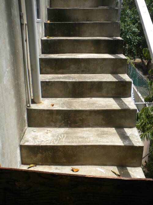 Click image for larger version. 

Name:	Jamaica 2010 photos (742).jpg 
Views:	555 
Size:	47.8 KB 
ID:	2944