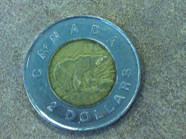 Name:  twoonie tail.jpg
Views: 413
Size:  58.2 KB