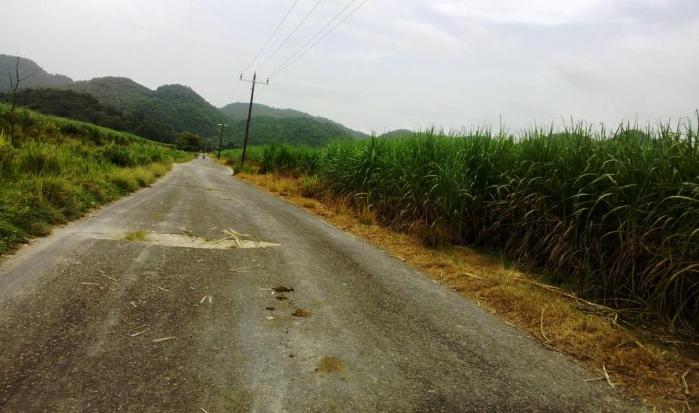 Name:  country four.jpg
Views: 2779
Size:  98.0 KB