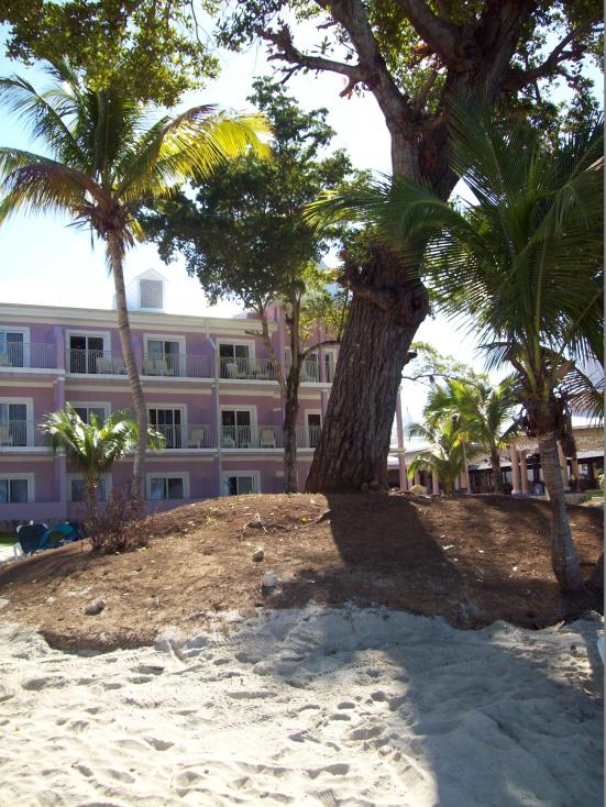 Name:  jamaica 113.jpg
Views: 683
Size:  99.9 KB