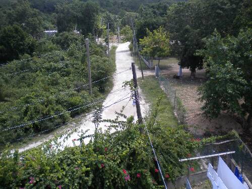 Click image for larger version. 

Name:	Jamaica 2010 photos (741).jpg 
Views:	543 
Size:	49.5 KB 
ID:	2946