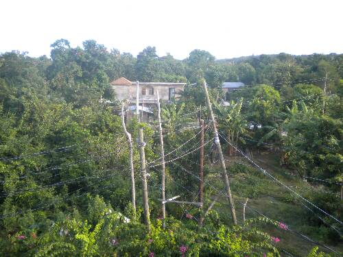 Click image for larger version. 

Name:	Jamaica 2010 photos (1145).jpg 
Views:	540 
Size:	44.1 KB 
ID:	2947