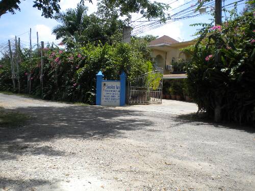 Click image for larger version. 

Name:	Jamaica 2010 photos (752).jpg 
Views:	549 
Size:	50.6 KB 
ID:	2950