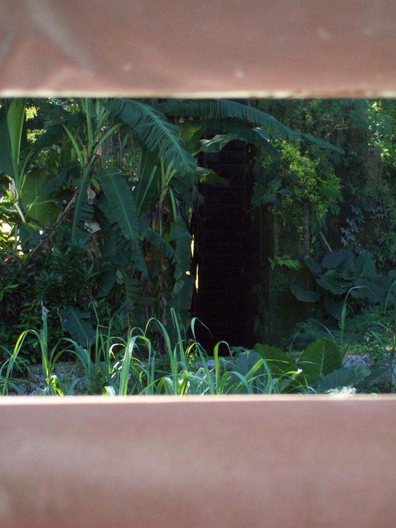 Name:  jamaica 017.jpg
Views: 619
Size:  90.7 KB