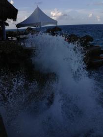 Name:  CatchawAve.jpg
Views: 293
Size:  8.3 KB