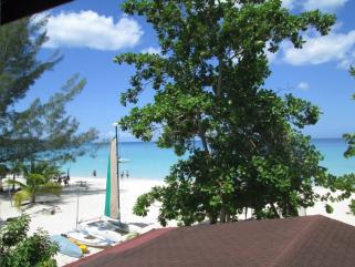 Name:  Parrot Seas View.jpg
Views: 292
Size:  20.7 KB