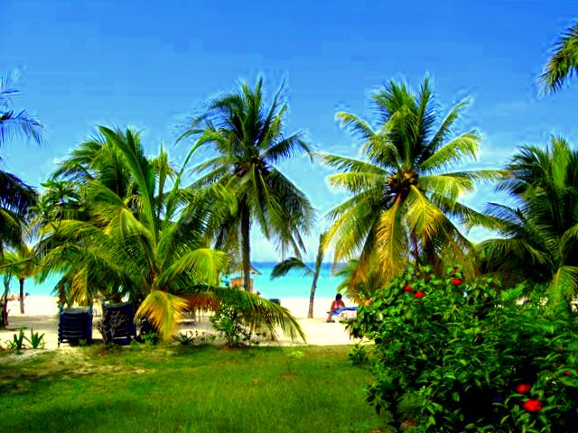 Name:  IMG_0008.JPG
Views: 1402
Size:  85.5 KB