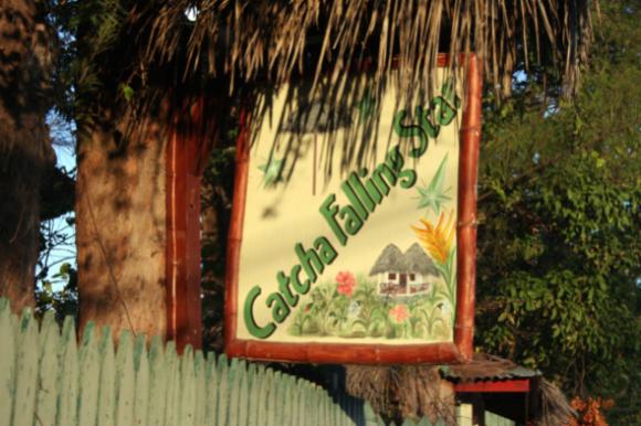Name:  Jamaica 2011 068.jpg
Views: 300
Size:  44.4 KB