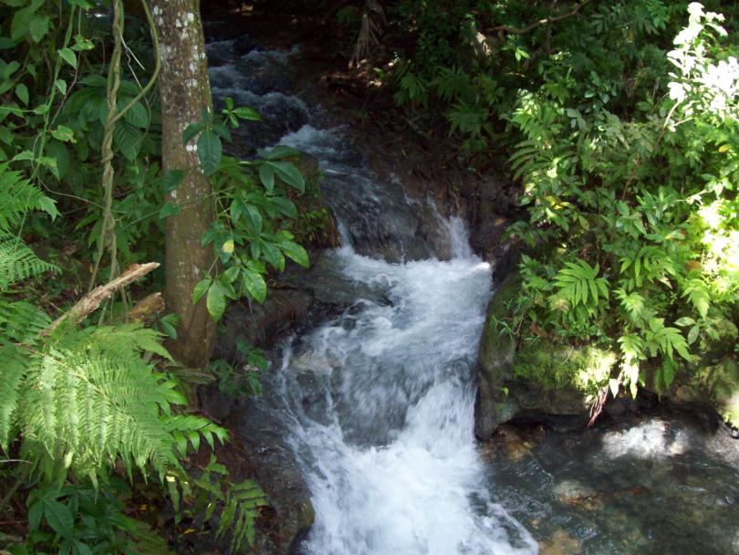 Name:  jamaica 043.jpg
Views: 360
Size:  97.9 KB
