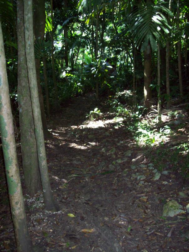 Name:  jamaica 048.jpg
Views: 362
Size:  98.4 KB