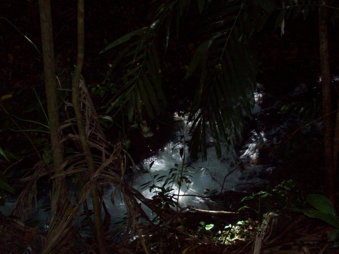 Name:  jamaica 050.jpg
Views: 363
Size:  88.2 KB