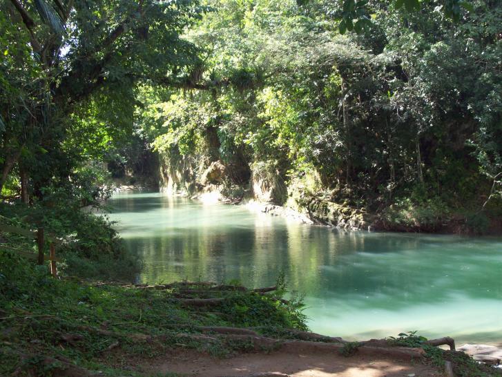 Name:  jamaica 067.jpg
Views: 341
Size:  98.7 KB