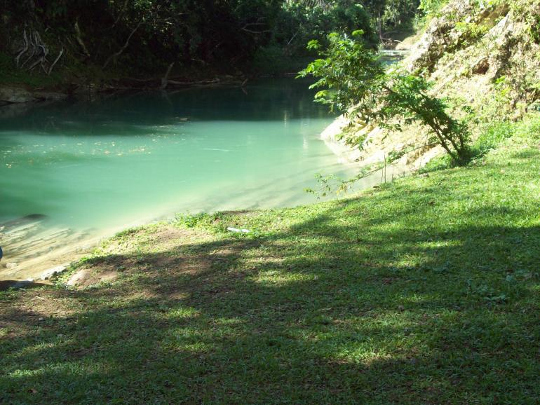 Name:  jamaica 071.jpg
Views: 349
Size:  98.6 KB