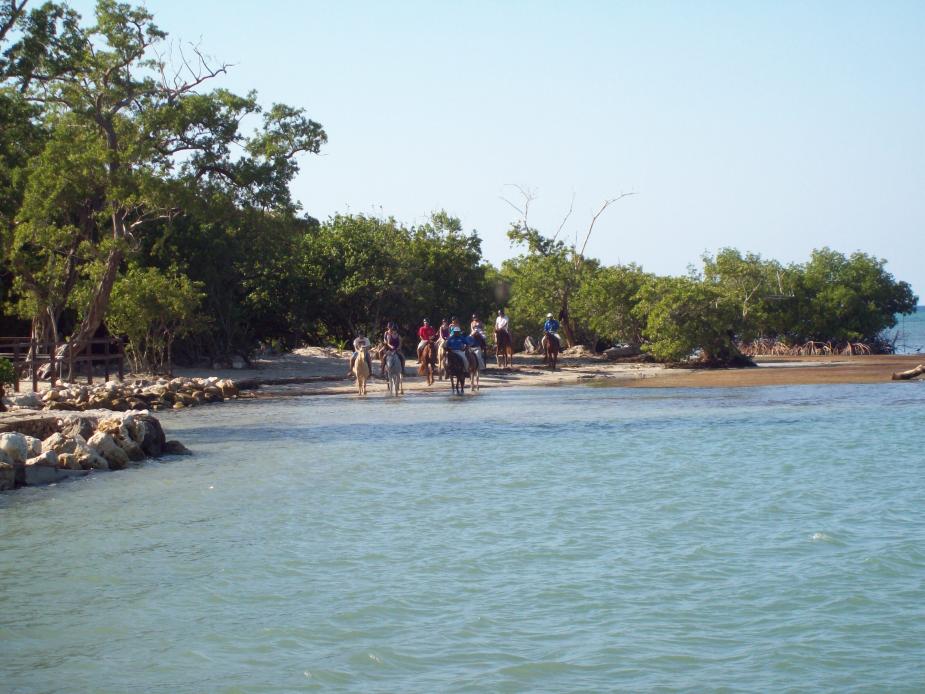 Name:  jamaica 076.jpg
Views: 329
Size:  95.7 KB