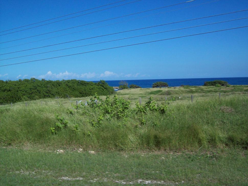 Name:  jamaica 016.jpg
Views: 454
Size:  95.4 KB