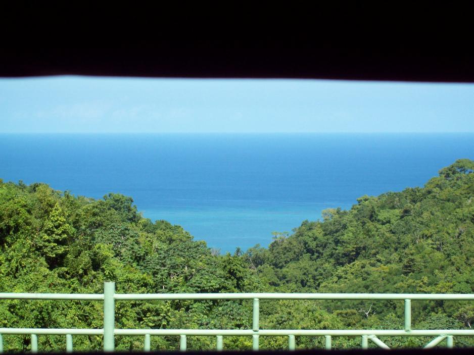 Name:  jamaica 021.jpg
Views: 426
Size:  95.8 KB