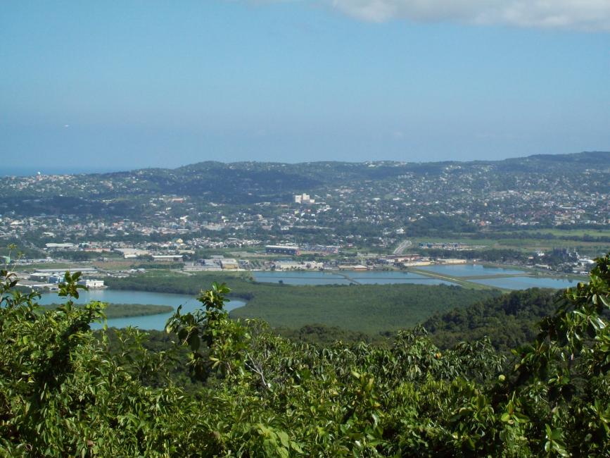 Name:  jamaica 022.jpg
Views: 460
Size:  96.8 KB