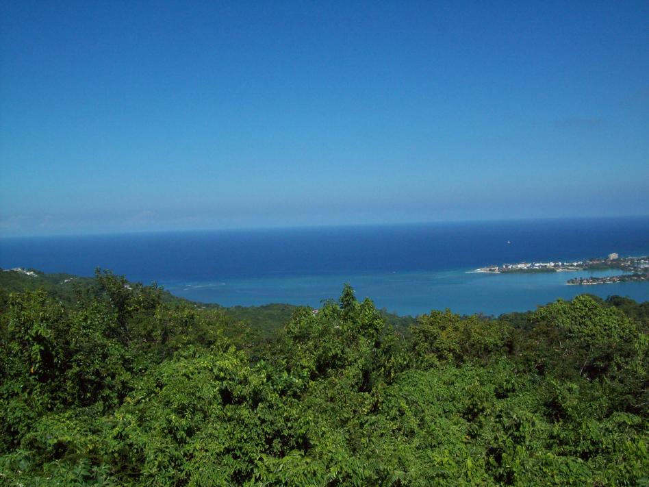 Name:  jamaica 024.jpg
Views: 442
Size:  95.8 KB