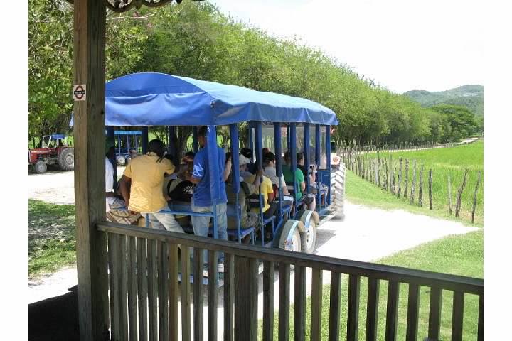 Name:  YS Tractor.jpg
Views: 999
Size:  58.5 KB