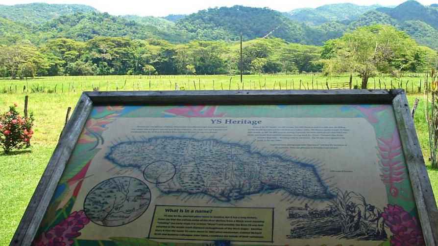 Name:  YS heritage.jpg
Views: 1026
Size:  98.9 KB