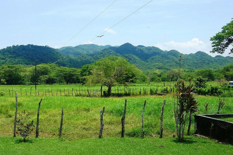 Name:  scenery 2.jpg
Views: 1028
Size:  96.1 KB