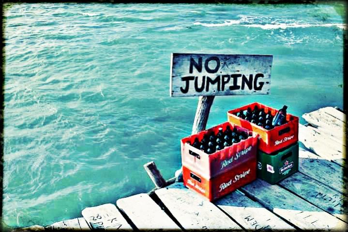 Name:  NoJumping.jpg
Views: 943
Size:  73.7 KB