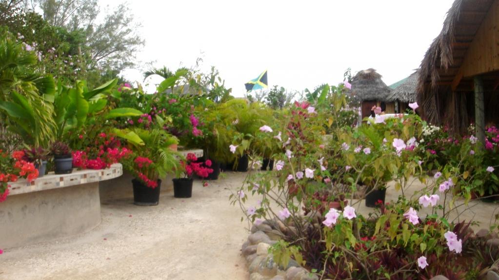 Name:  DSC06570.jpg
Views: 866
Size:  91.4 KB