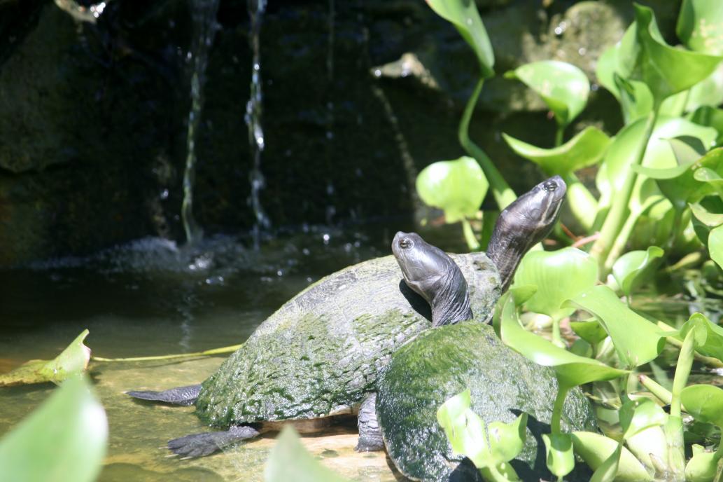 Name: IMG_0268.jpg
Views: 1292
Size: 92.5 KB