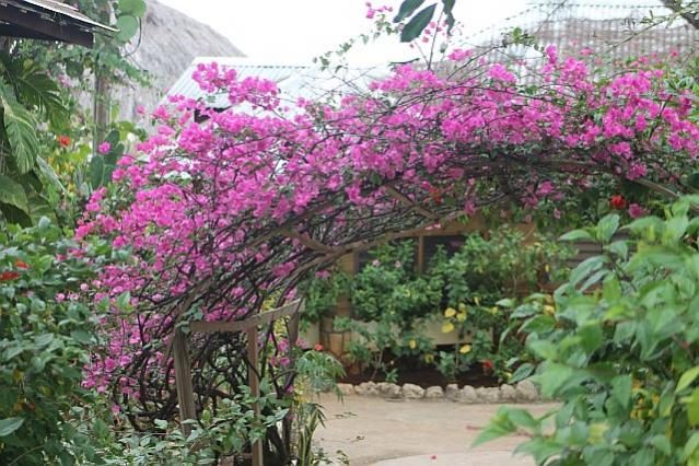 Name:  Cathca.jpg
Views: 908
Size:  72.9 KB