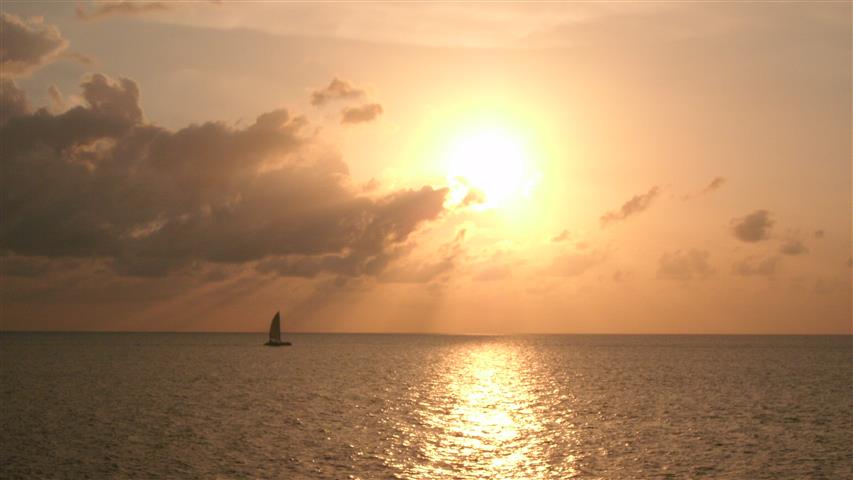 Name:  GEDC0342 (Small).JPG
Views: 174
Size:  79.1 KB