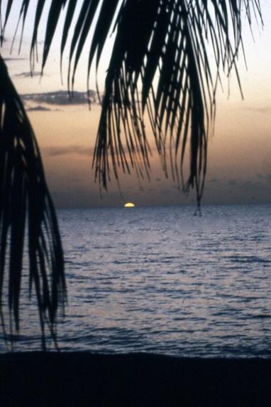 Name:  Sinking Sun.jpg
Views: 1616
Size:  34.2 KB