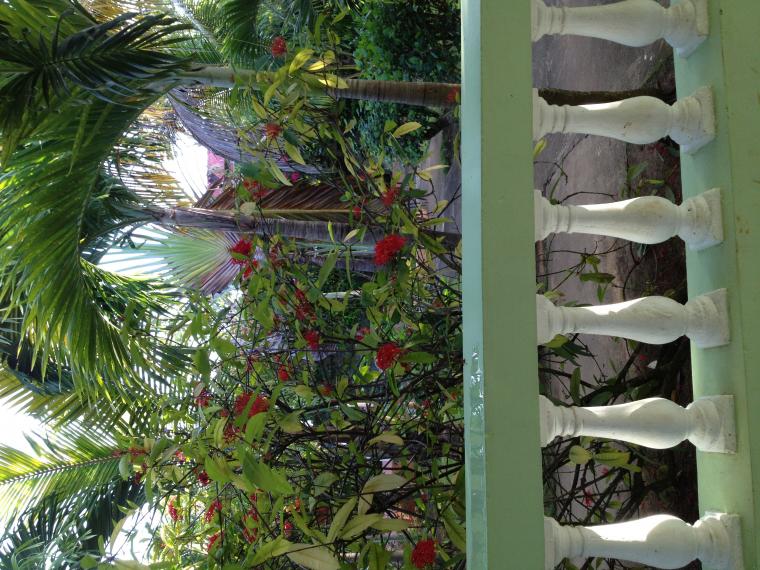 Name:  image.jpg
Views: 538
Size:  99.4 KB