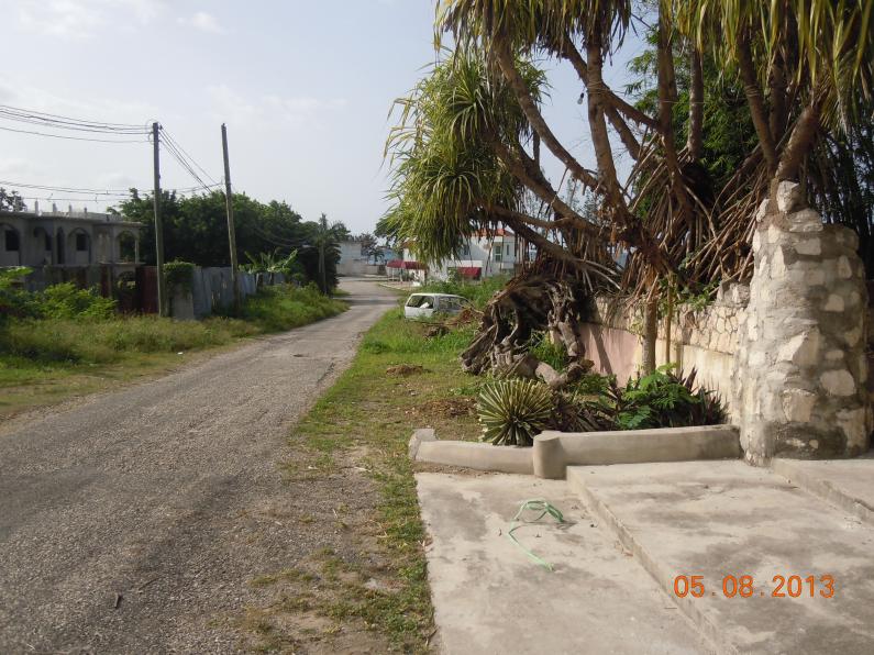 Name:  DSCN3871.jpg
Views: 922
Size:  97.9 KB