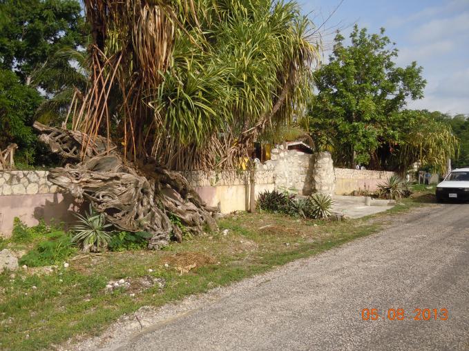 Name:  DSCN3873.jpg
Views: 996
Size:  97.6 KB