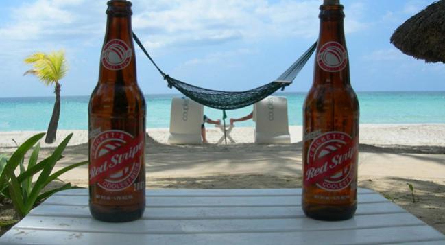 Name:  CSA Red Stripe Hammock 2.jpg
Views: 1350
Size:  32.2 KB
