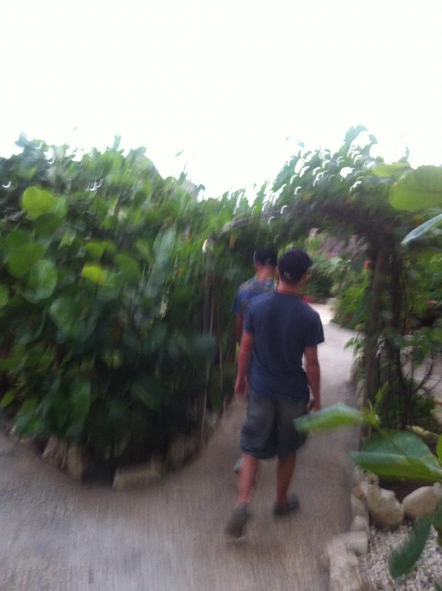 Name:  RTI Negril 2013 (140).jpg
Views: 1120
Size:  92.4 KB