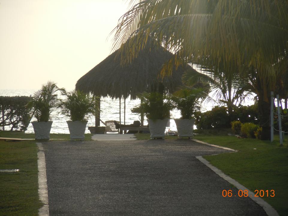 Name:  DSCN3917.jpg
Views: 1070
Size:  94.6 KB