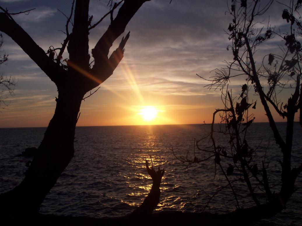 Click image for larger version. 

Name:	jamaica 2010 029.jpg 
Views:	888 
Size:	89.2 KB 
ID:	3055