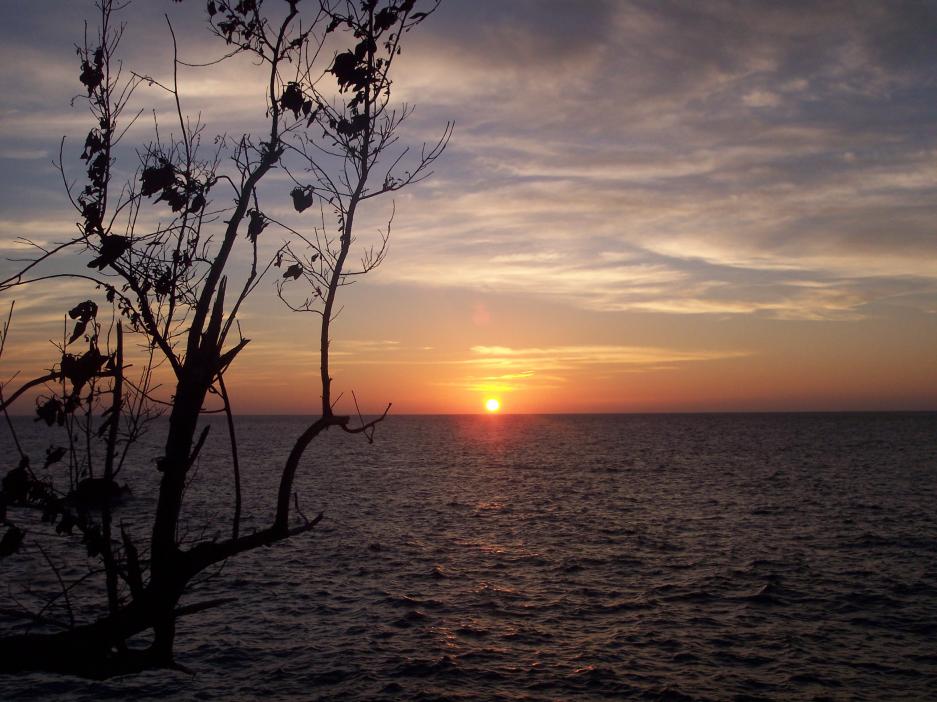 Click image for larger version. 

Name:	jamaica 2010 031.jpg 
Views:	981 
Size:	94.4 KB 
ID:	3056