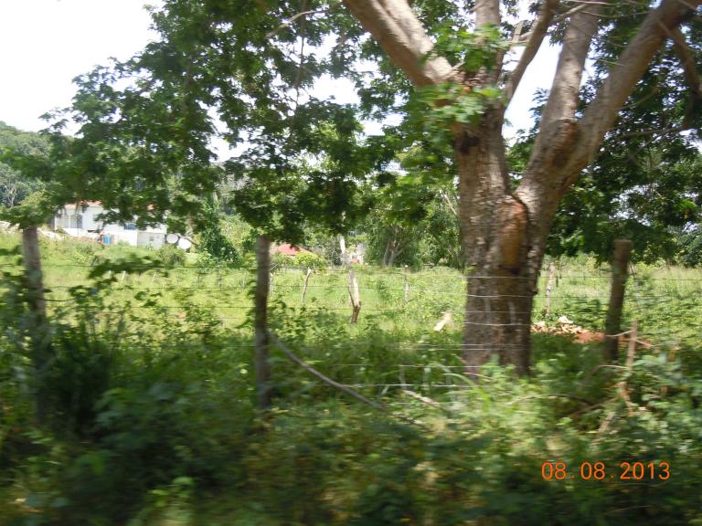 Name:  DSCN3939.jpg
Views: 1025
Size:  98.9 KB