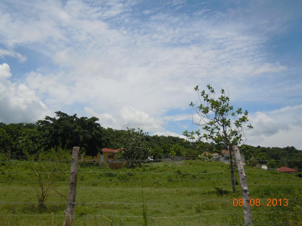 Name:  DSCN3940.jpg
Views: 1017
Size:  92.3 KB