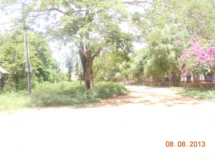 Name:  DSCN3944.jpg
Views: 1082
Size:  96.1 KB
