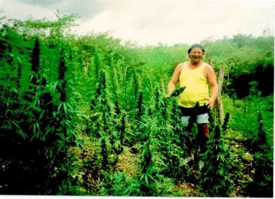 Name:  Field of Dreams (Large) (Medium) (Custom).jpg
Views: 371
Size:  76.0 KB