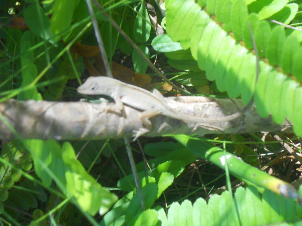 Name:  DSCN5143.jpg
Views: 767
Size:  84.9 KB