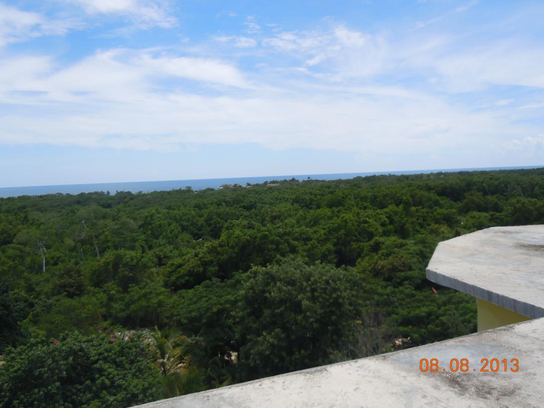 Name:  DSCN3954.jpg
Views: 1031
Size:  88.6 KB