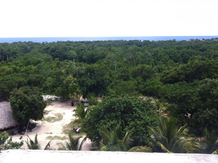 Name:  RTI Negril 2013 (185).jpg
Views: 961
Size:  96.9 KB