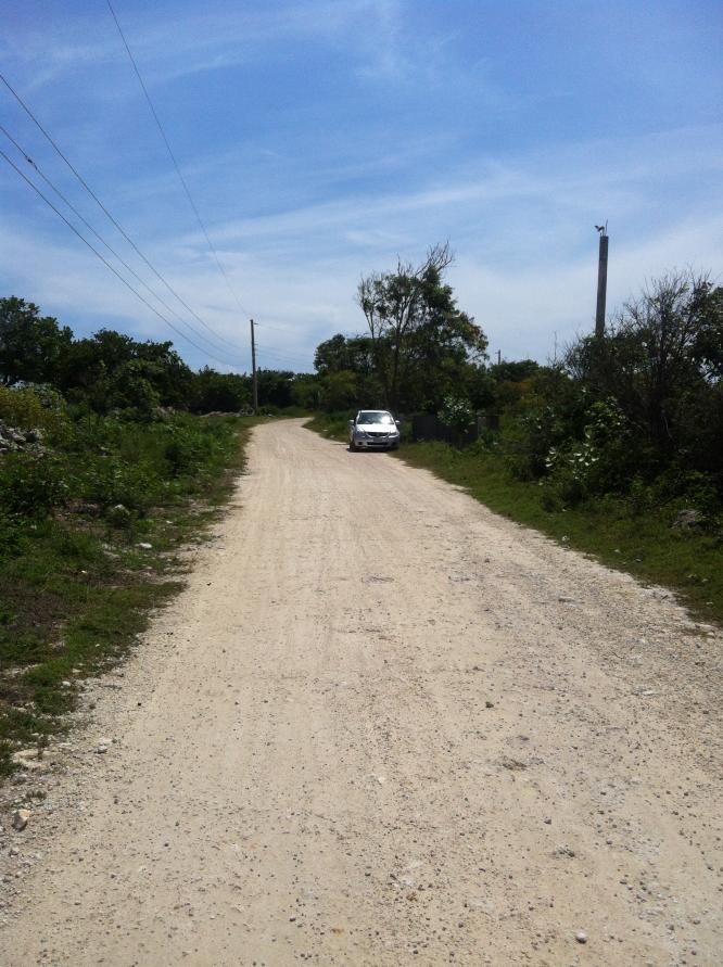 Name:  RTI Negril 2013 (195).jpg
Views: 933
Size:  97.5 KB
