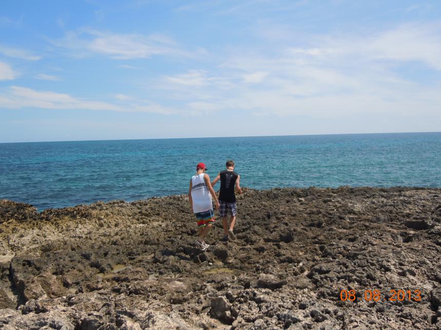 Name:  DSCN3960.jpg
Views: 984
Size:  96.9 KB