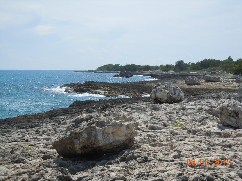 Name:  DSCN3962.jpg
Views: 932
Size:  96.3 KB