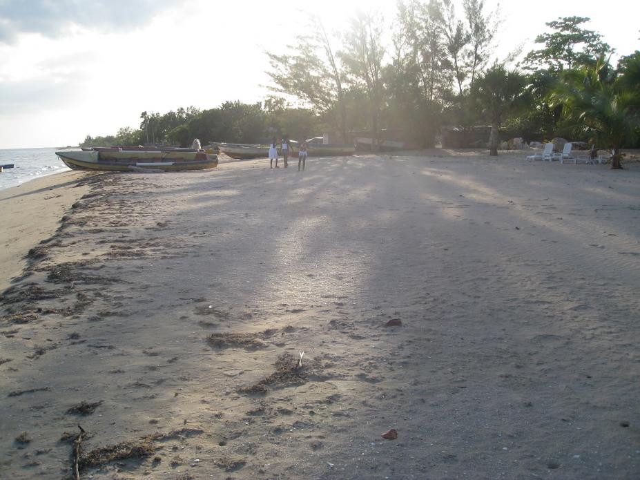 Click image for larger version. 

Name:	IMG_5748.jpg 
Views:	771 
Size:	95.8 KB 
ID:	3076
